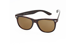 Wayfarer med brun glas